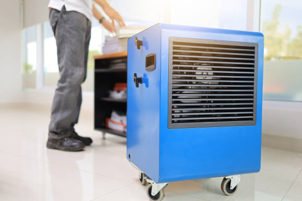 Best Post-Remediation Verification Testing  in Quincy, CA