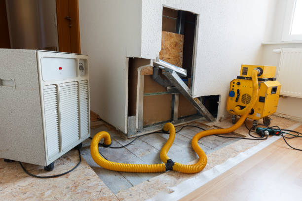 Best Commercial Mold Inspection  in Quincy, CA