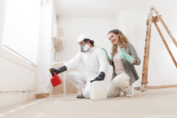 Best Environmental Consulting for Mold Prevention  in Quincy, CA